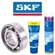 SKF elementi